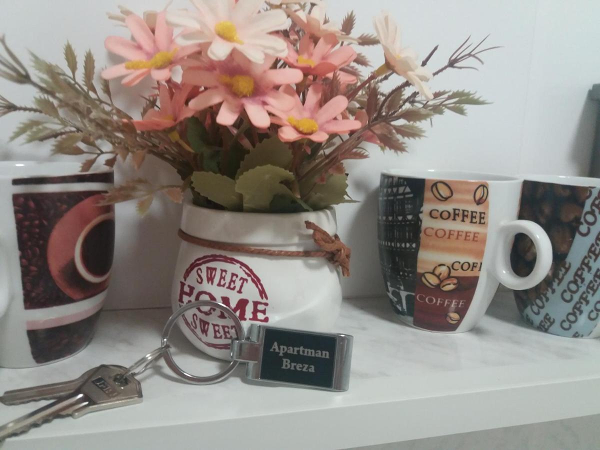 Apartman Breza 鲁马 外观 照片